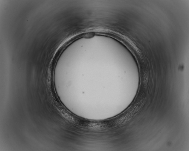 X0000099961364200806201327