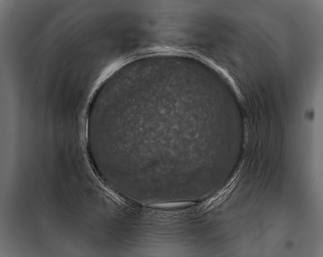 X0000099961365200806201327