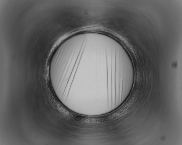 X0000099961366200806201327