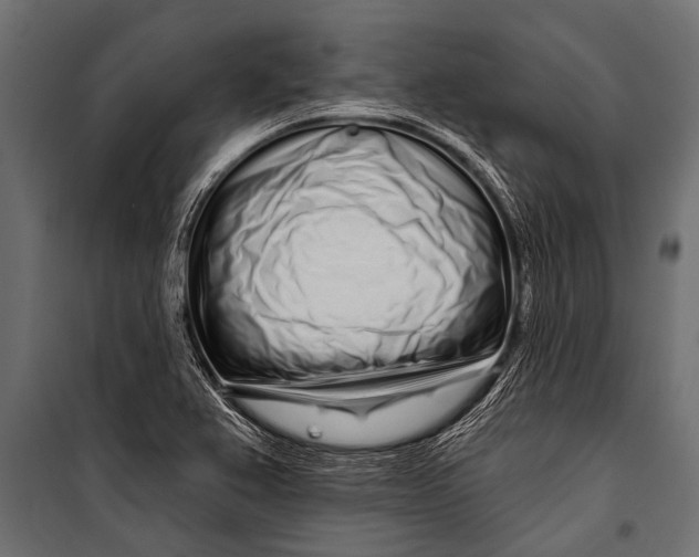 X0000099961367200806201327