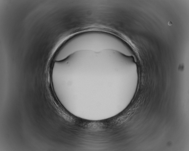 X0000099961368200806201327