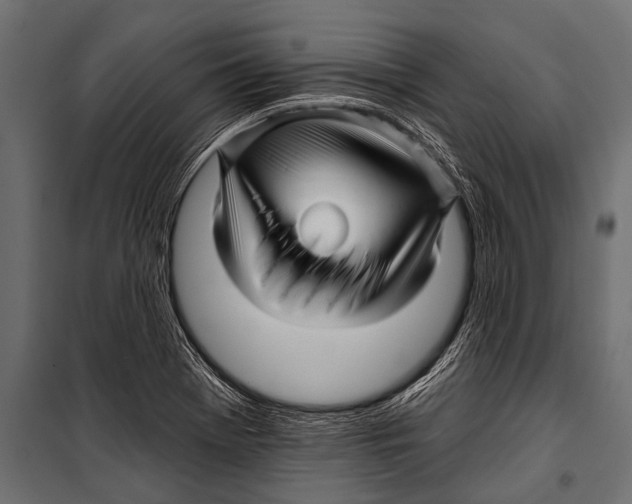 X0000099961369200806201327