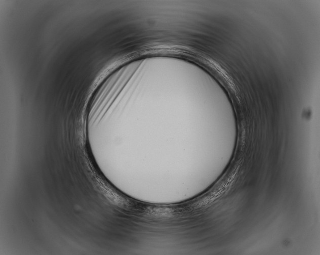 X0000099961370200806201327