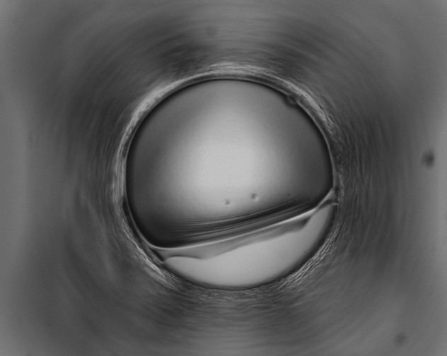 X0000099961371200806201327