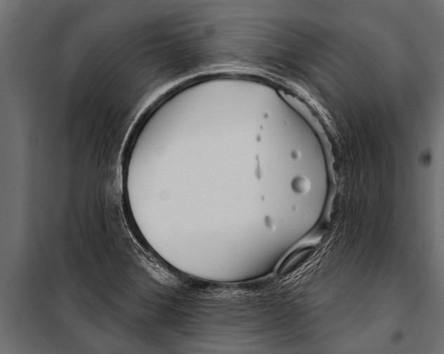 X0000099961372200806201327