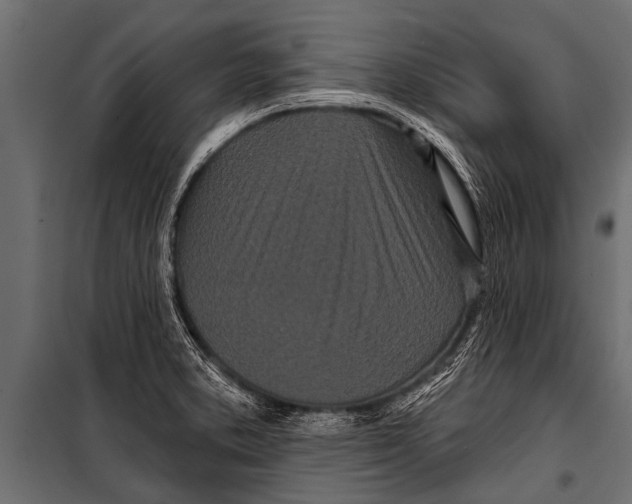 X0000099961373200806201327