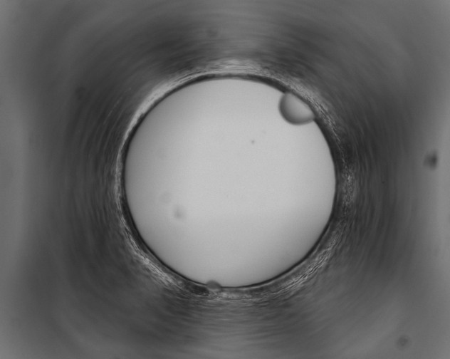 X0000099961374200806201327