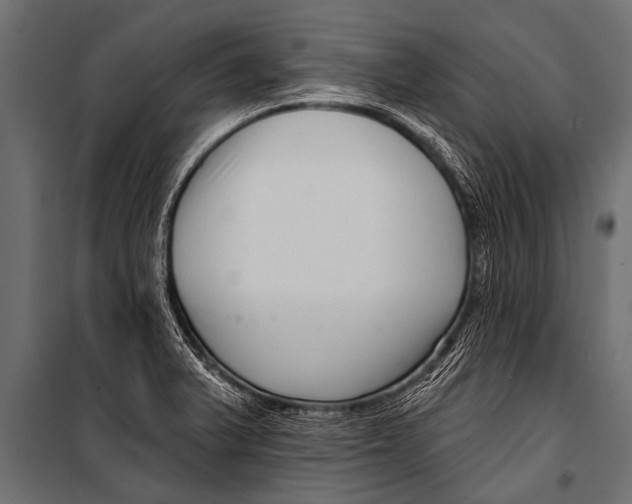 X0000099961375200806201327