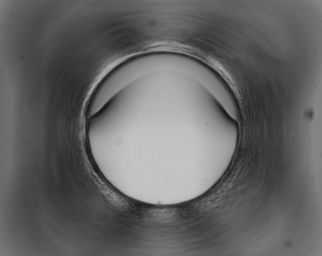 X0000099961376200806201327