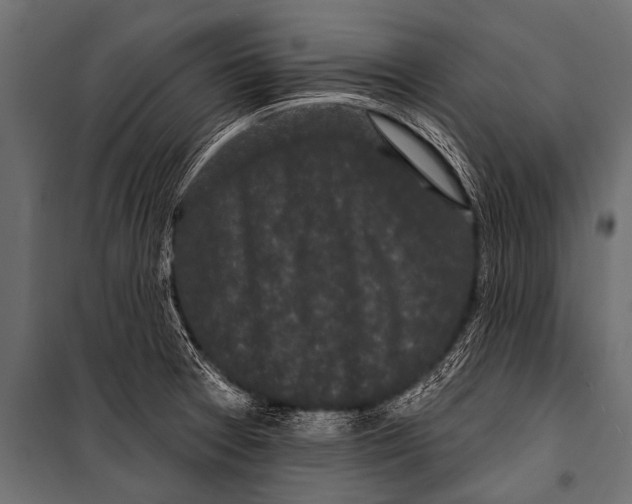 X0000099961377200806201327