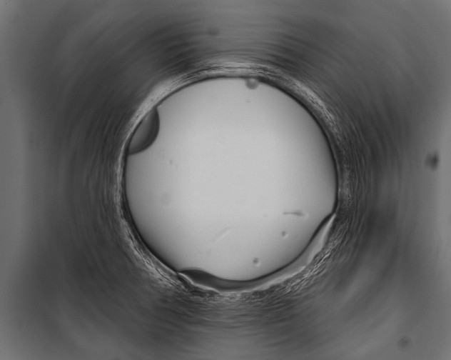 X0000099961378200806201327