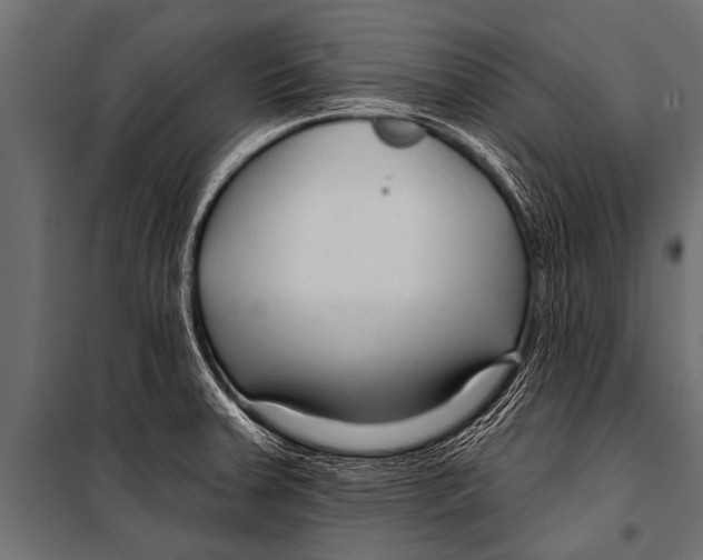 X0000099961379200806201327