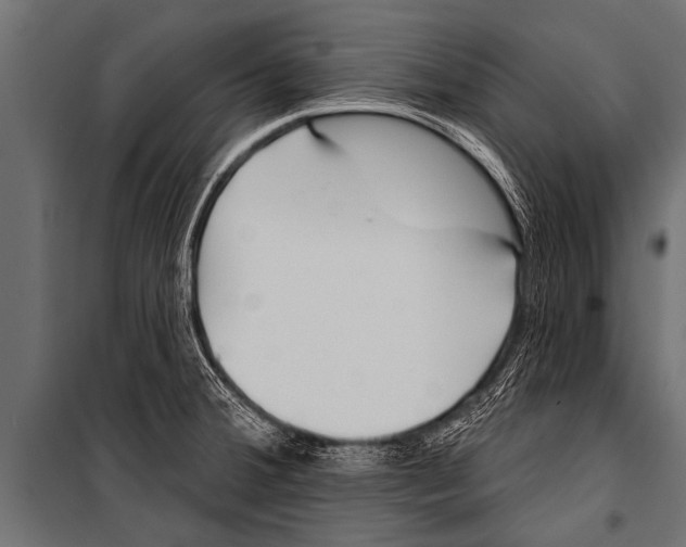 X0000099961380200806201327