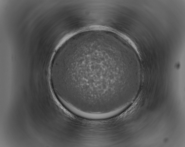 X0000099961381200806201327