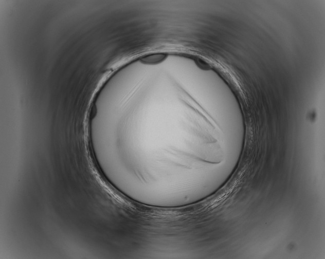 X0000099961382200806201327