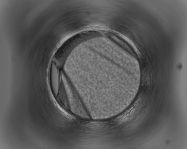 X0000099961383200806201327