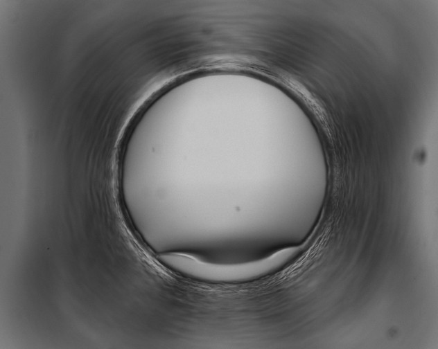 X0000099961384200806201327