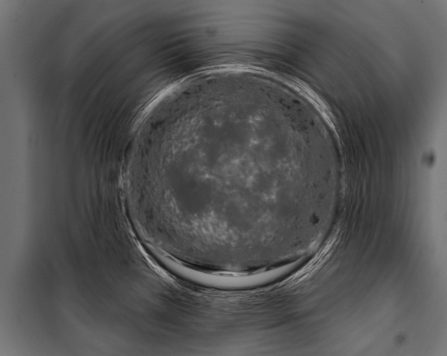 X0000099961385200806201327