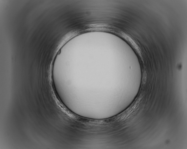 X0000099961386200806201327