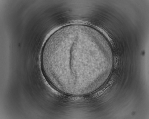 X0000099961387200806201327