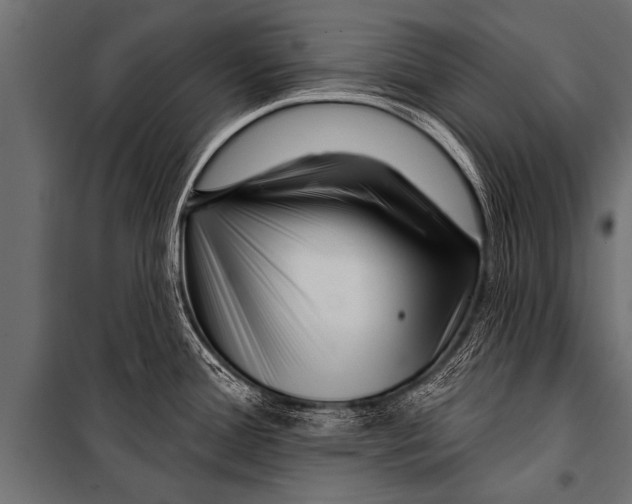 X0000099961388200806201327