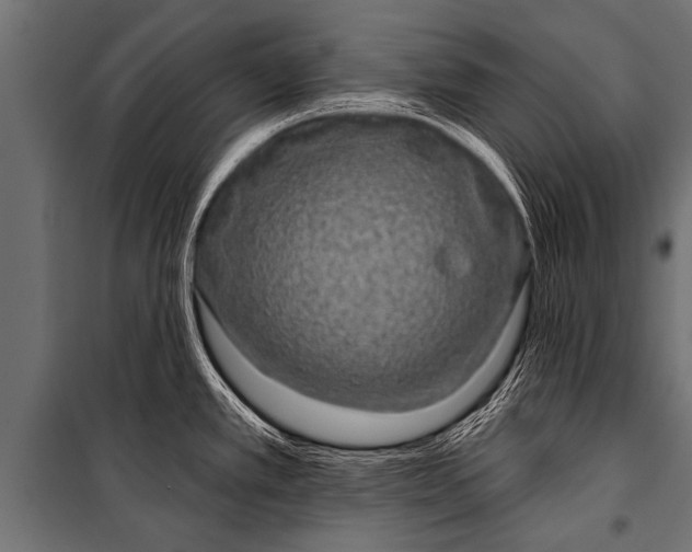 X0000099961389200806201327