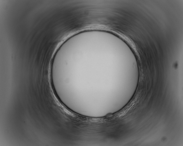 X0000099961390200806201327