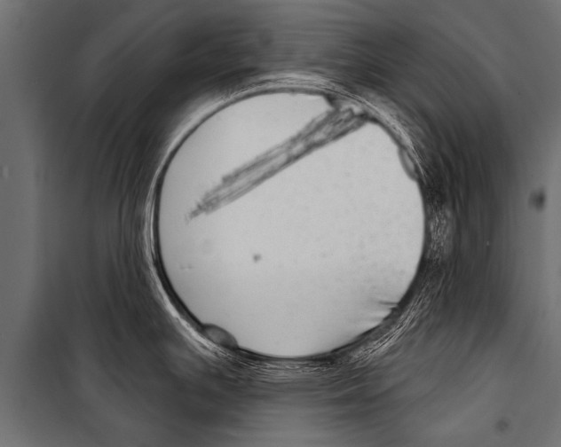 X0000099961391200806201327