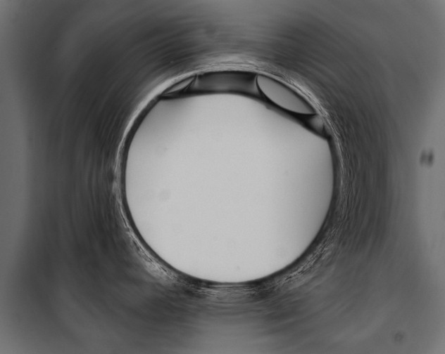 X0000099961392200806201327