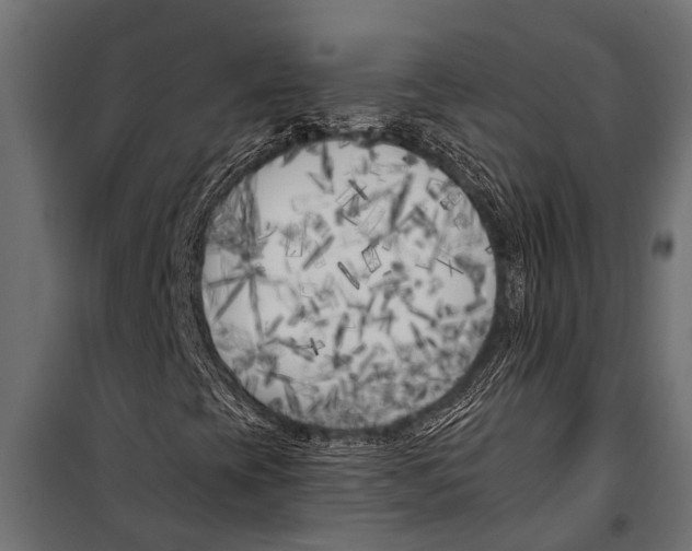 X0000099961393200806201326