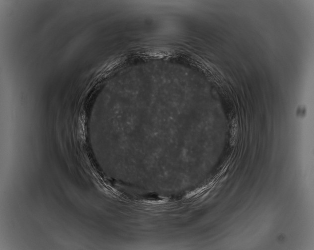 X0000099961394200806201326