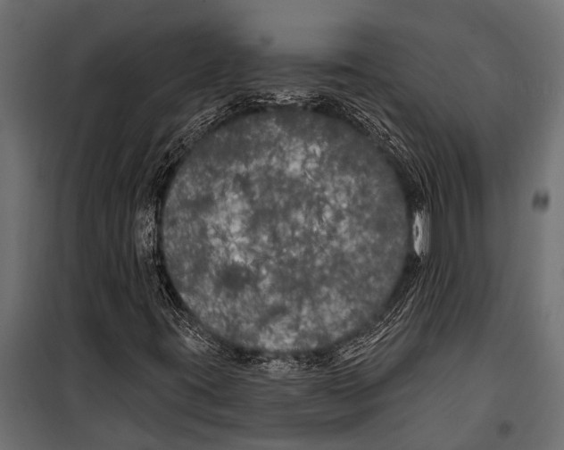 X0000099961395200806201326