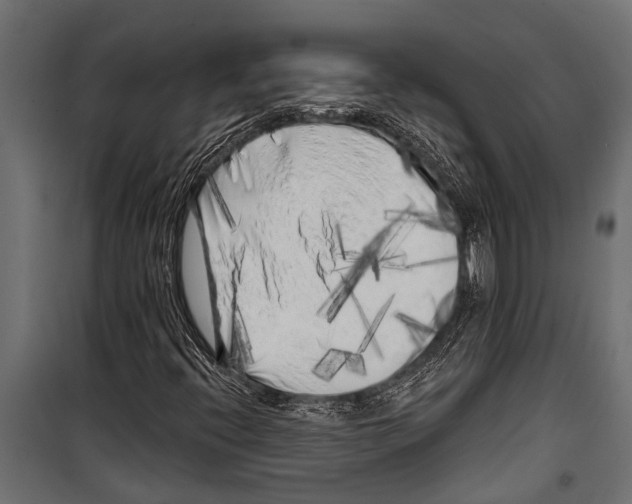 X0000099961396200806201326