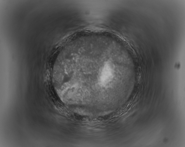 X0000099961397200806201326