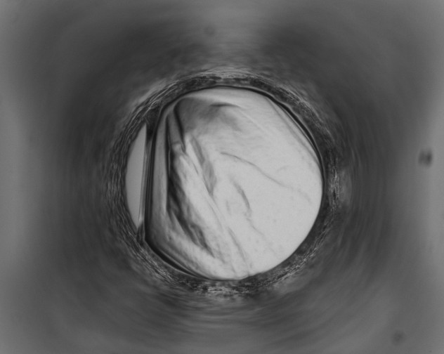 X0000099961398200806201326