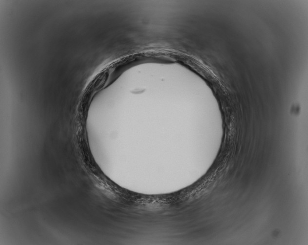 X0000099961400200806201326