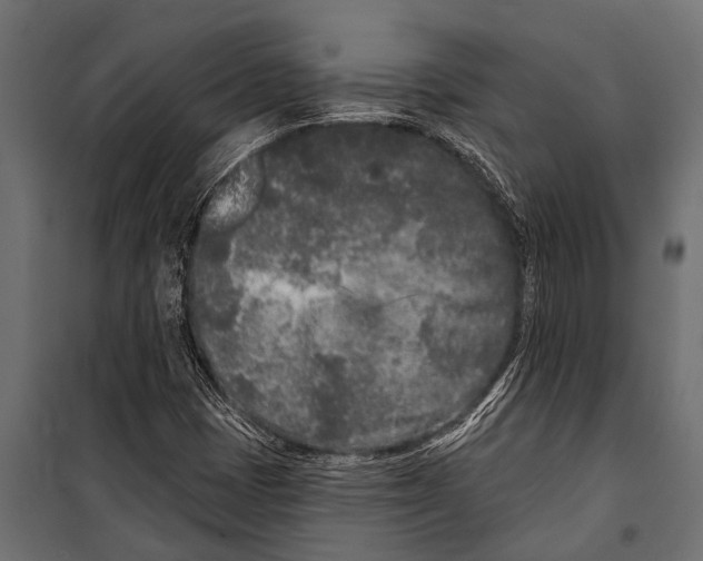 X0000099961401200806201326