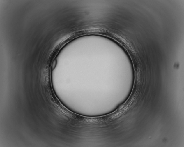 X0000099961402200806201326