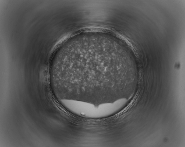 X0000099961403200806201326