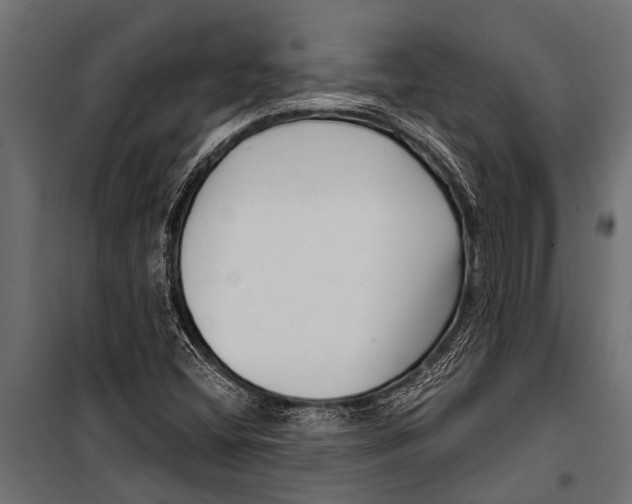 X0000099961404200806201326