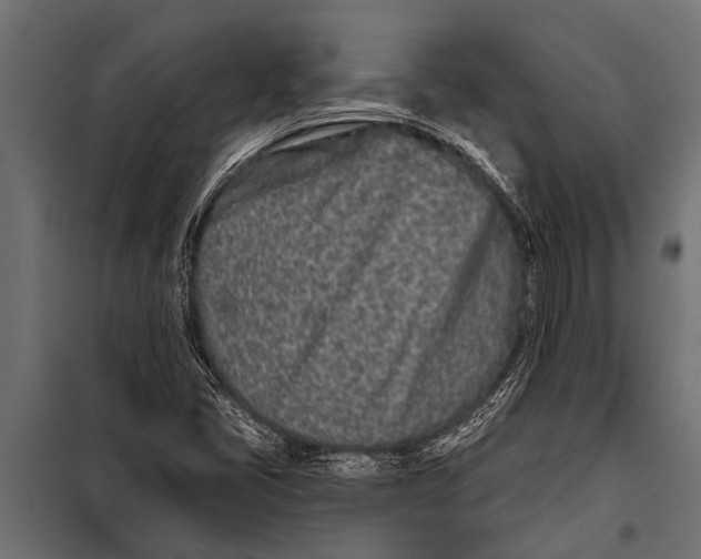 X0000099961405200806201326