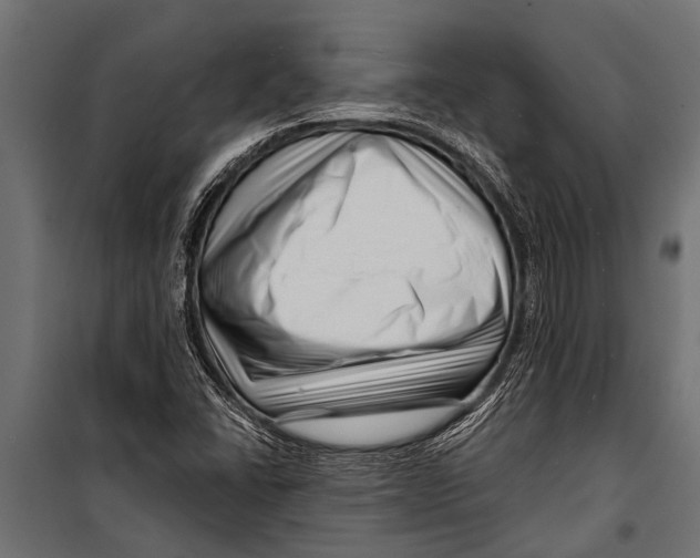 X0000099961406200806201326