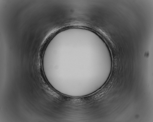 X0000099961408200806201326