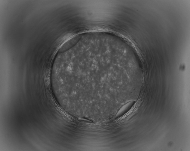 X0000099961409200806201326