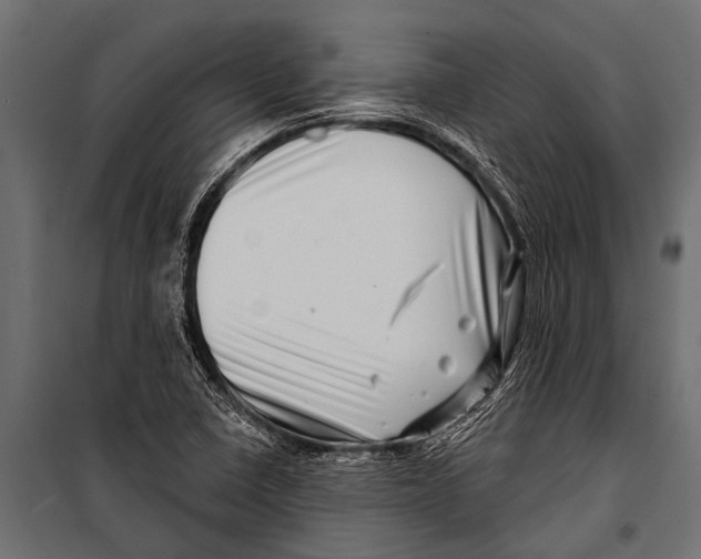 X0000099961410200806201326