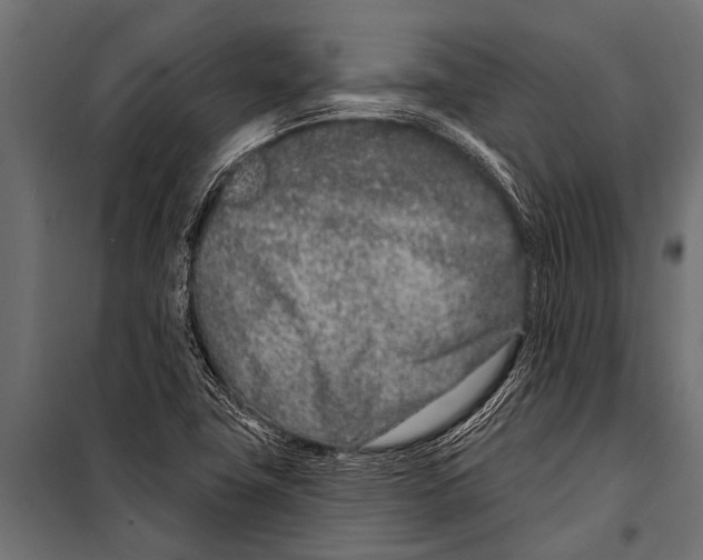 X0000099961411200806201326