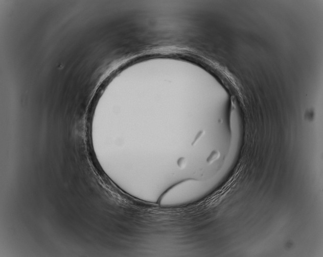 X0000099961412200806201326