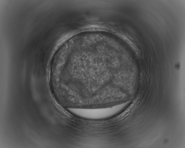 X0000099961413200806201326