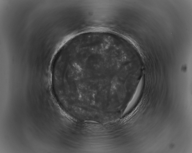 X0000099961414200806201326