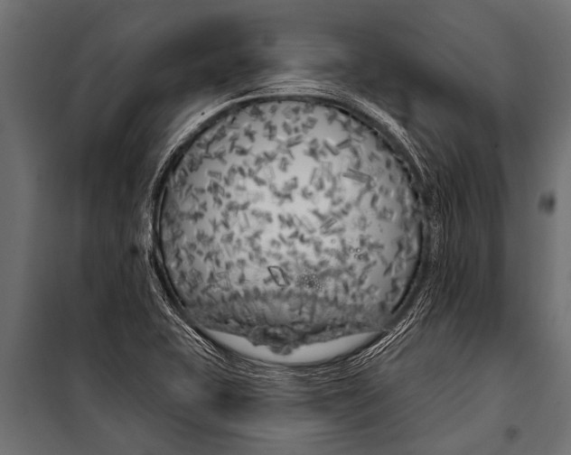 X0000099961415200806201326